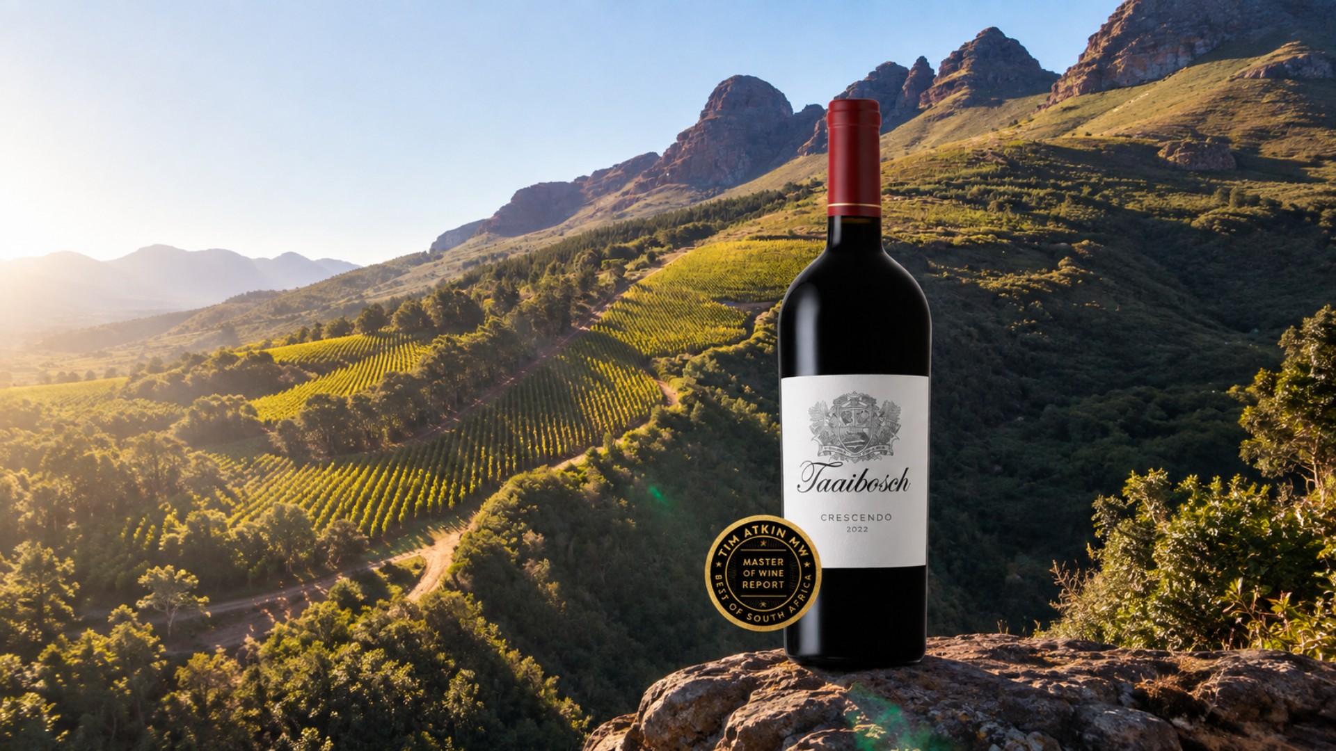 Taaibosch Crescendo 2022 Earns 96 Points in the Tim Atkin South Africa Report